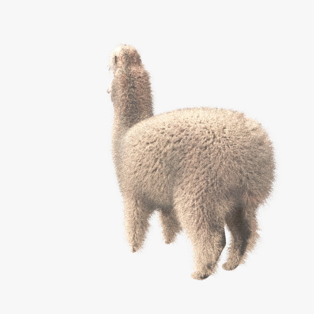 Obj Alpaca