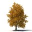 autumn trees 3 model