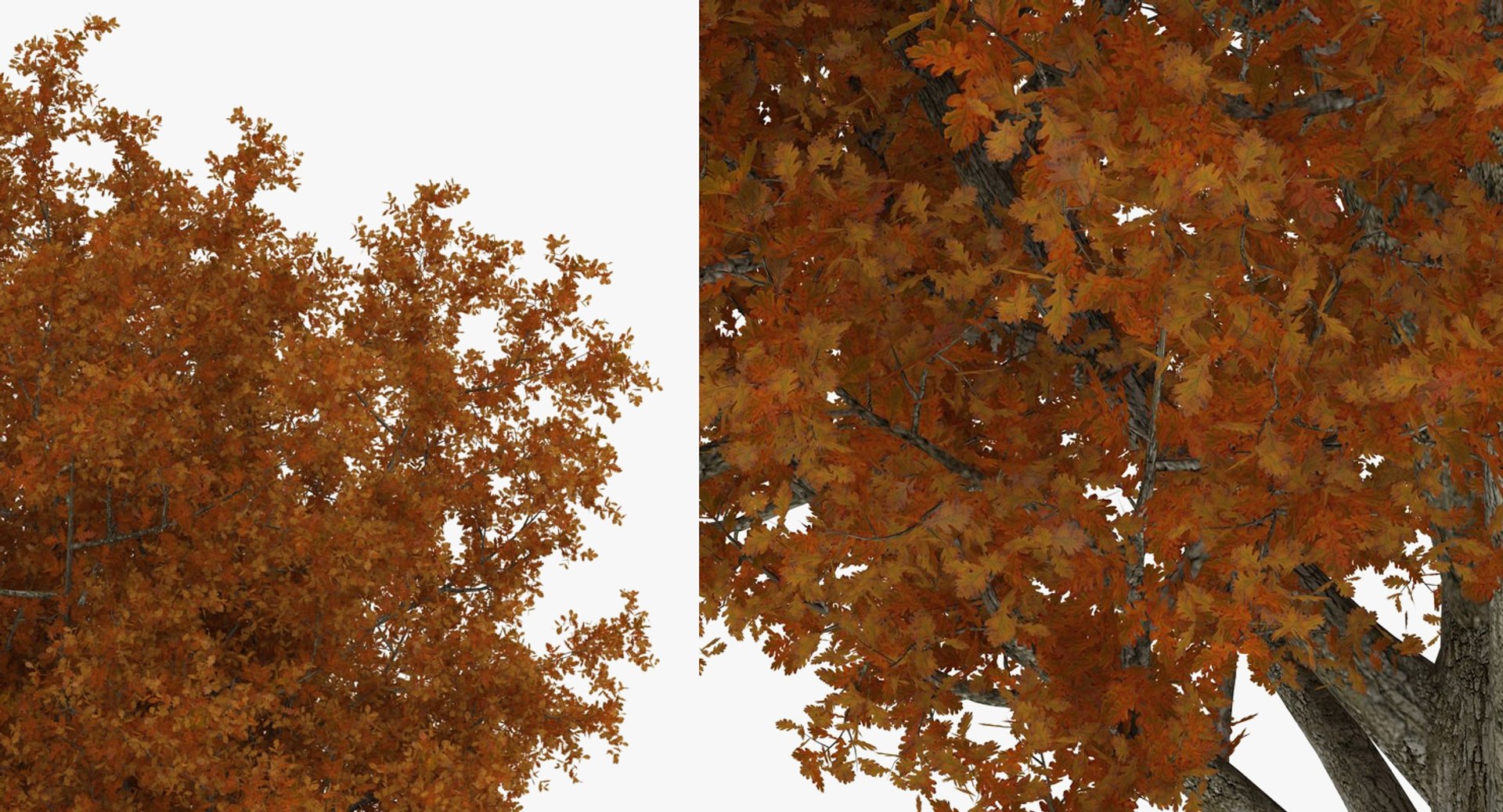 autumn trees 3 model https://p.turbosquid.com/ts-thumb/mE/v3uvZE/HLRdiY4q/autumntreescollection3mb3dmodel034/jpg/1577434819/1920x1080/fit_q87/0b80893c6dc0b864dde490939a15da75ebea91e2/autumntreescollection3mb3dmodel034.jpg