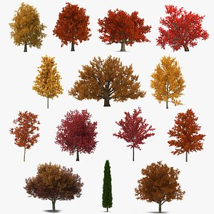 Autumn Trees Collection 3