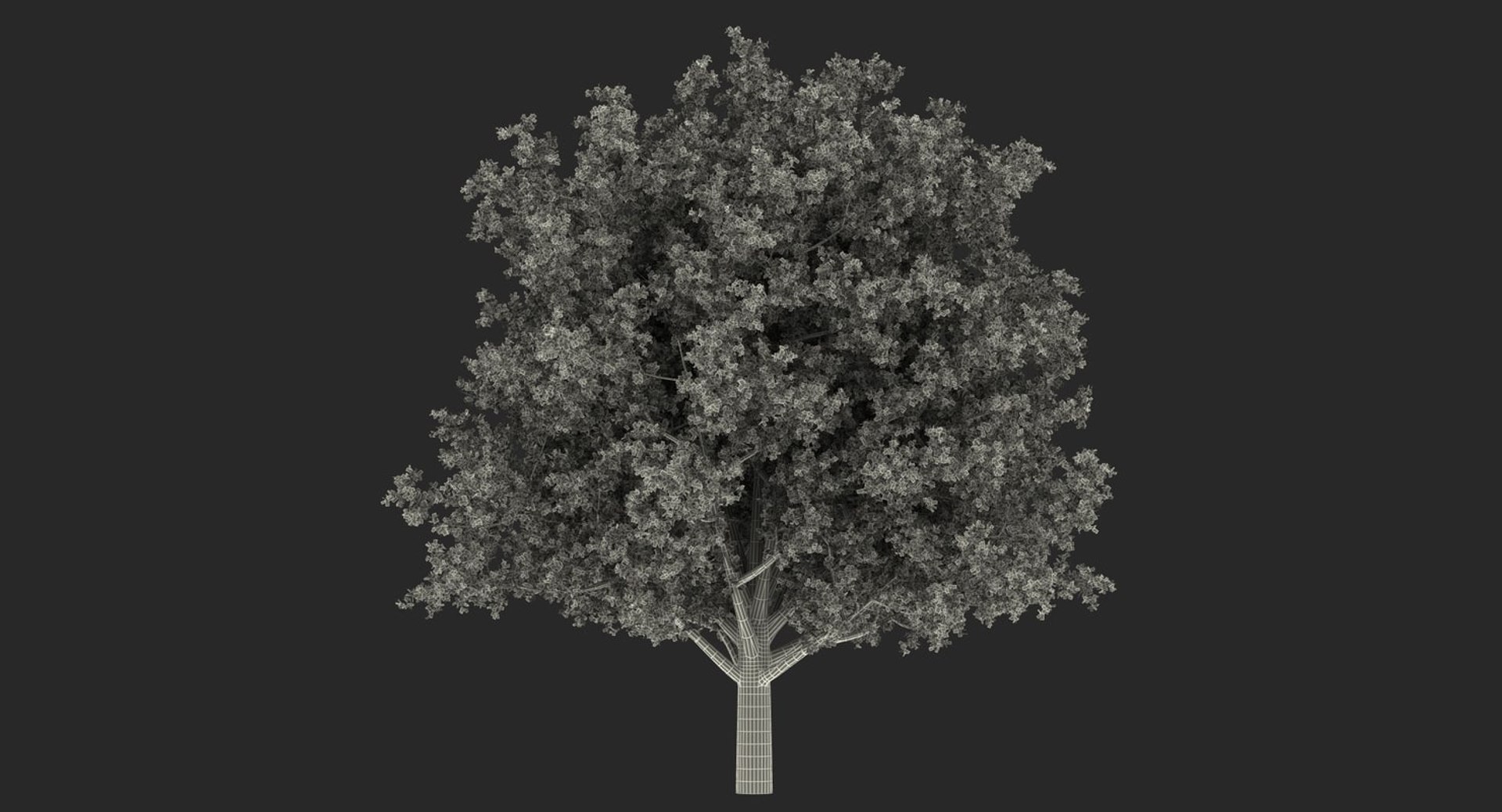 autumn trees 3 model https://p.turbosquid.com/ts-thumb/mE/v3uvZE/VnL4fiQj/autumntreescollection3mb3dmodel049/jpg/1577434819/1920x1080/fit_q87/21e820babd626f42da002f7126b290d28eecb0a9/autumntreescollection3mb3dmodel049.jpg