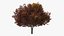 autumn trees 3 model