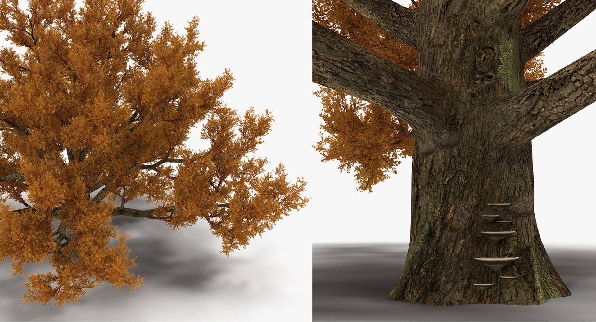 autumn trees 3 model https://p.turbosquid.com/ts-thumb/mE/v3uvZE/abkWsRMW/autumntreescollection3mb3dmodel032/jpg/1577434818/1920x1080/fit_q87/2f20c4e242ea17579b07583b049db9a55a7621b4/autumntreescollection3mb3dmodel032.jpg