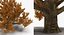 Autumn Trees Collection 3