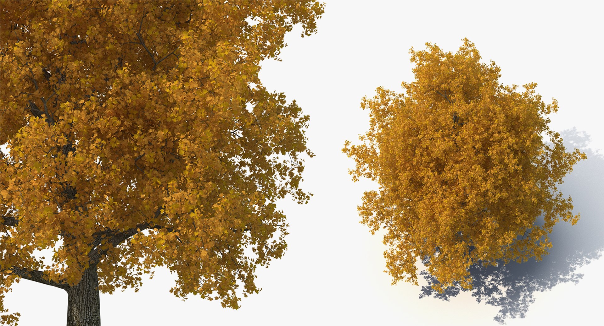 autumn trees 3 model https://p.turbosquid.com/ts-thumb/mE/v3uvZE/ccSMR9Lk/autumntreescollection3mb3dmodel020/jpg/1577434818/1920x1080/fit_q87/a6f95a4ac665820a055d756000c8f458eda3d00e/autumntreescollection3mb3dmodel020.jpg