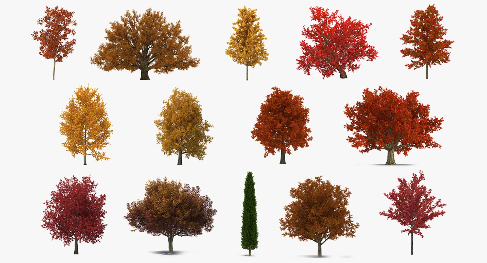 autumn trees 3 model https://p.turbosquid.com/ts-thumb/mE/v3uvZE/dhmuJbAR/autumntreescollection3mb3dmodel002/jpg/1577434818/1920x1080/fit_q87/6beb208ed7195502cb337a2ed263f6973a42bda0/autumntreescollection3mb3dmodel002.jpg