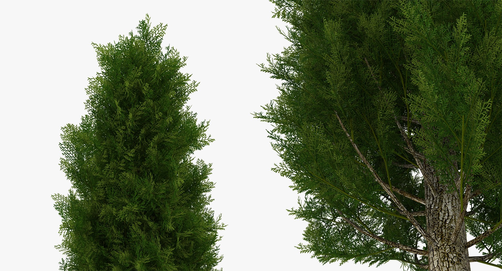 autumn trees 3 model https://p.turbosquid.com/ts-thumb/mE/v3uvZE/rOmpLmHz/autumntreescollection3mb3dmodel012/jpg/1577434818/1920x1080/fit_q87/bda49c2ddff25a3cb018e9e7702fc279e6e793cf/autumntreescollection3mb3dmodel012.jpg