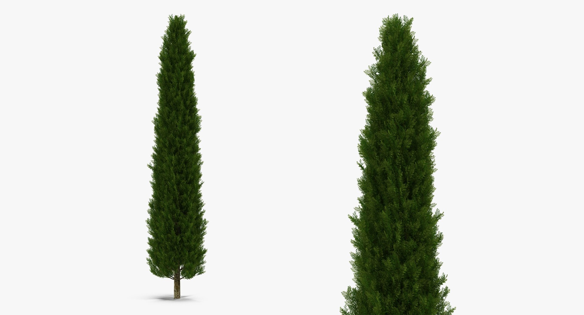 autumn trees 3 model https://p.turbosquid.com/ts-thumb/mE/v3uvZE/syOb9QmK/autumntreescollection3mb3dmodel011/jpg/1577434818/1920x1080/fit_q87/e8bac05319fa8eb0ff5f4893619c04c9f494469f/autumntreescollection3mb3dmodel011.jpg