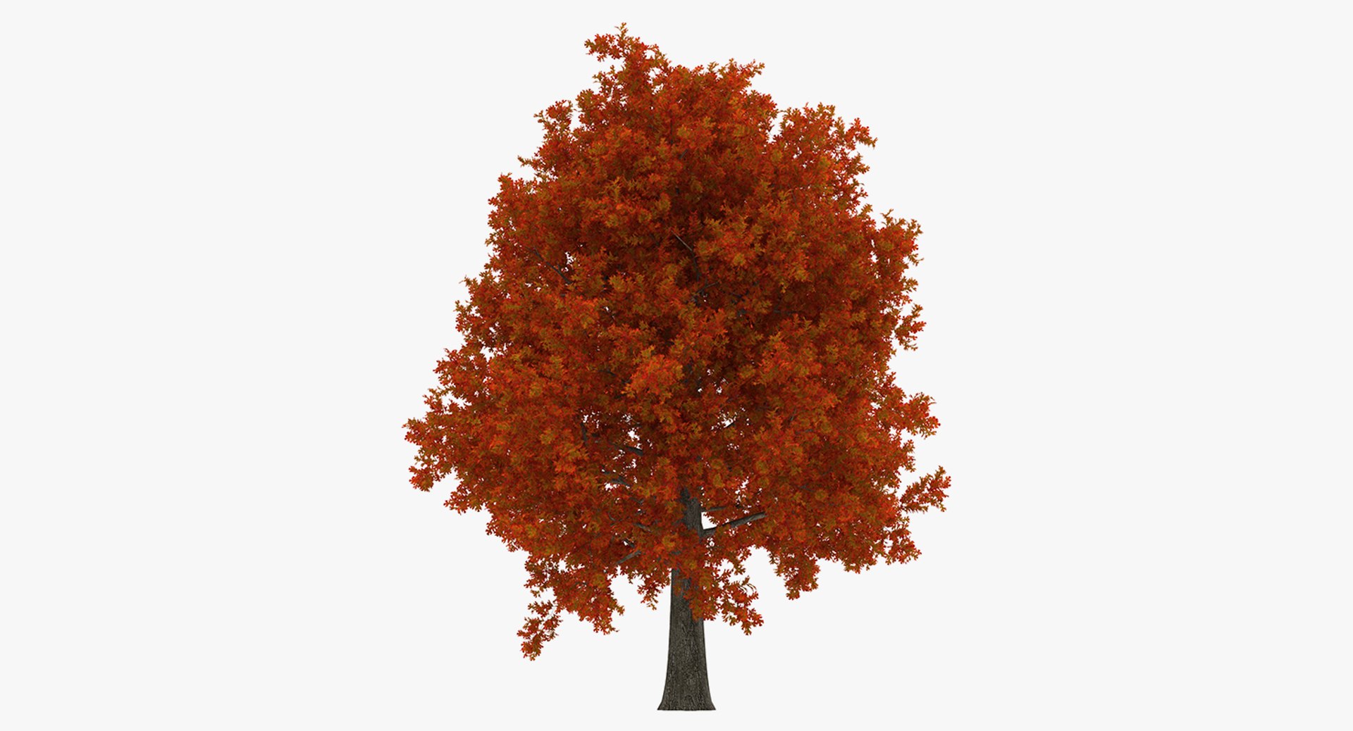 autumn trees 3 model https://p.turbosquid.com/ts-thumb/mE/v3uvZE/uTV5q6Tp/autumntreescollection3mb3dmodel021/jpg/1577434818/1920x1080/fit_q87/6dc458fe647607fe23a95d28236dce0474811609/autumntreescollection3mb3dmodel021.jpg