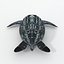 Leatherback Turtle
