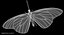 Mariposa monarca (animada)