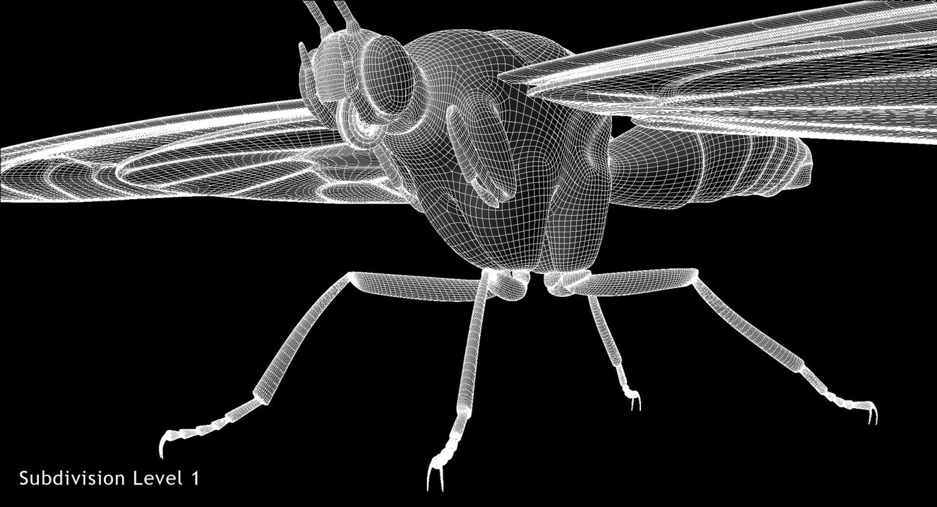 monarch butterfly animation flying model https://p.turbosquid.com/ts-thumb/mF/CQ54yb/Kkkicyql/w06/jpg/1551578205/1920x1080/fit_q87/87105ef1cd9b65d652d30691780696479bc1533a/w06.jpg