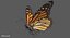 Mariposa monarca (animada)