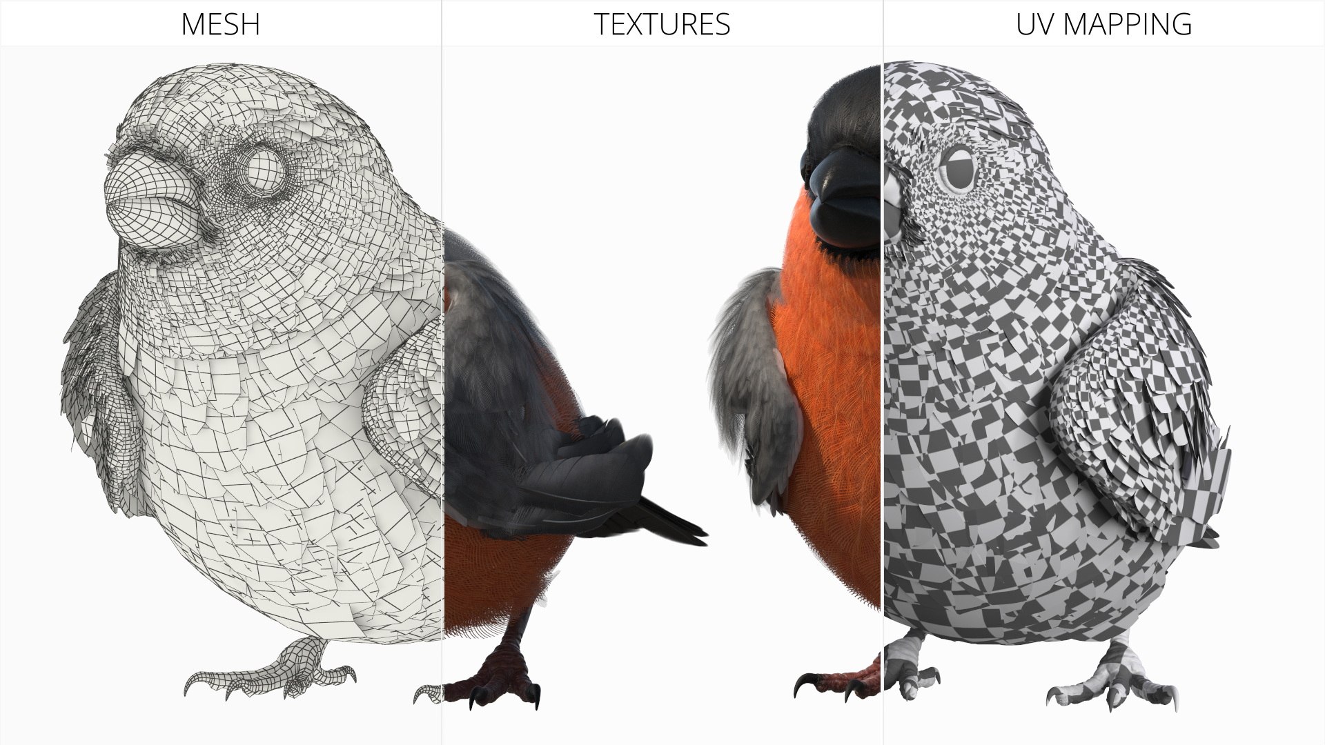 3D Bullfinch Male Bird Sitting model https://p.turbosquid.com/ts-thumb/mF/IZzXUC/OP/bullfinch_male_bird_sitting_009/jpg/1759297284/1920x1080/fit_q87/01829c9c2cb47b59d8205cf8cae1d3e1a959927c/bullfinch_male_bird_sitting_009.jpg