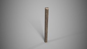 Log 3D model