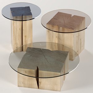 3D model set tables slab stump