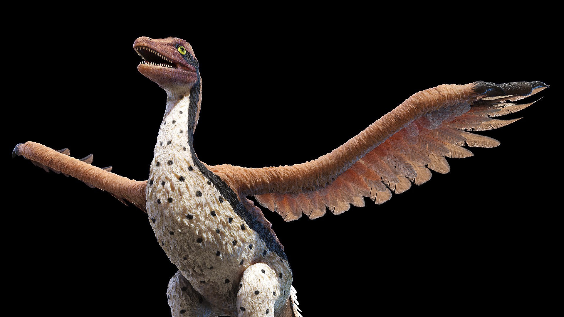 Archaeopteryx 3D TurboSquid 1634579