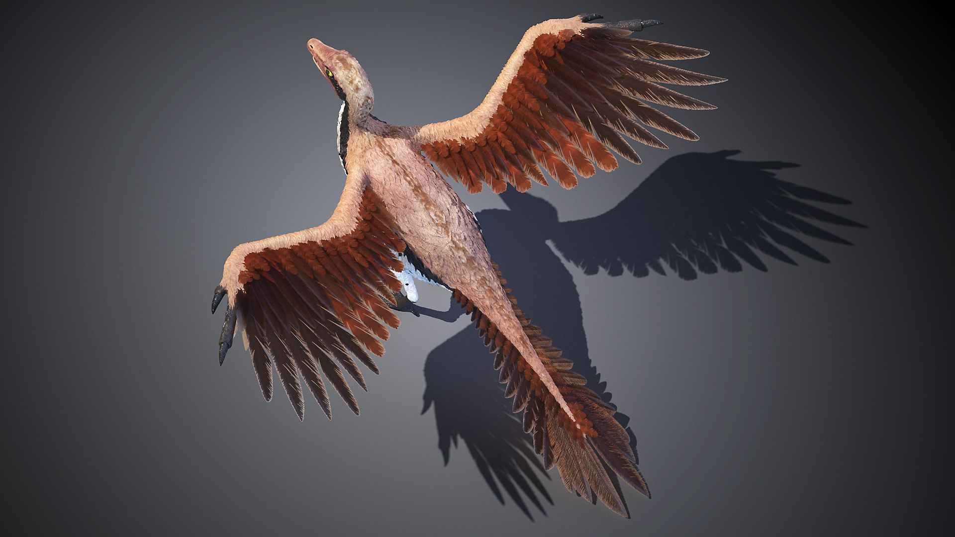 Archaeopteryx 3D TurboSquid 1634579