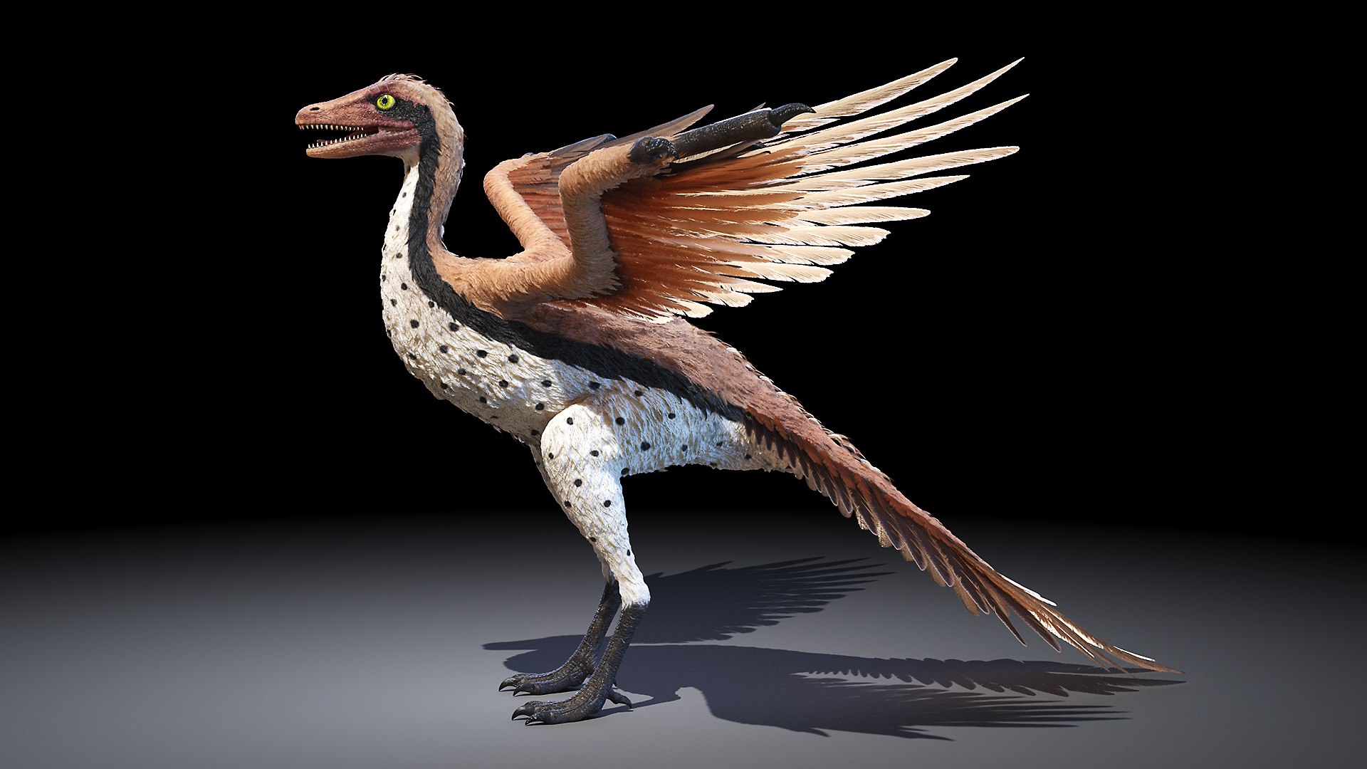 Archaeopteryx 3D TurboSquid 1634579