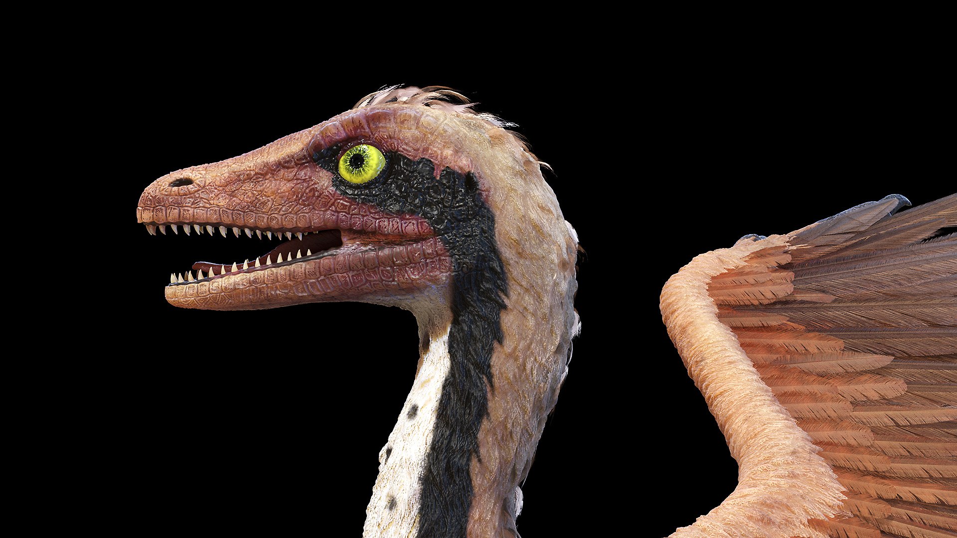 Archaeopteryx 3D TurboSquid 1634579