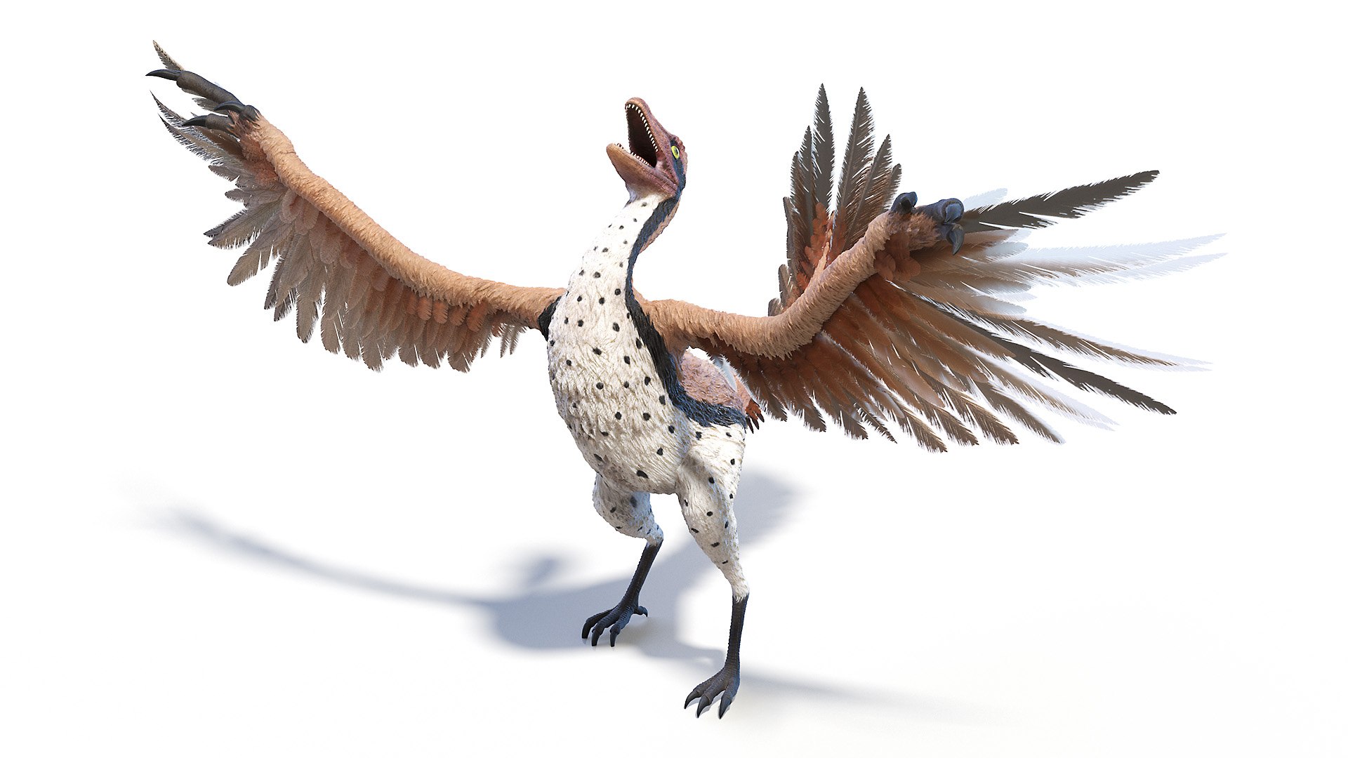 Archaeopteryx 3D TurboSquid 1634579