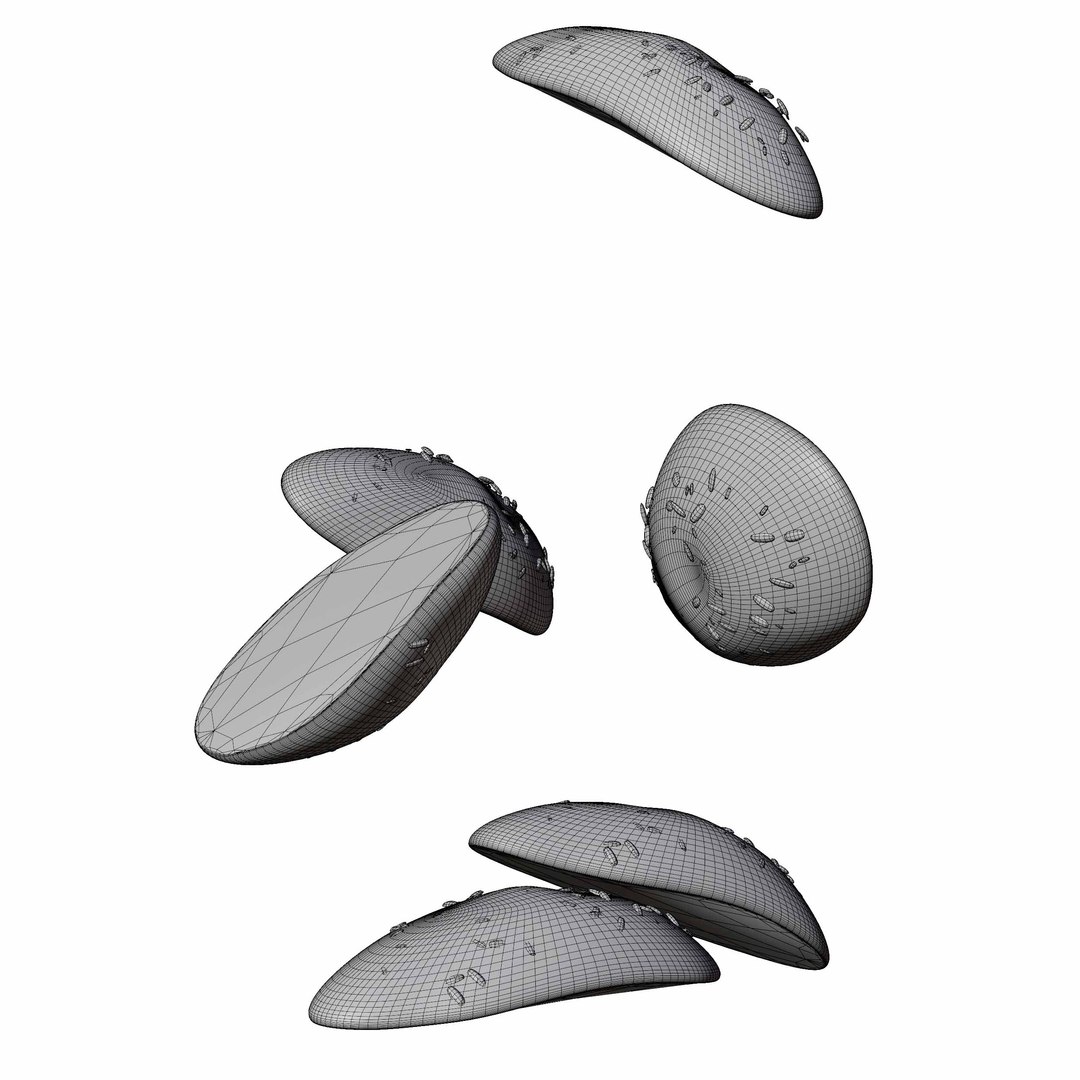 Multigrain Bread 3D https://p.turbosquid.com/ts-thumb/mF/SYMj1y/YF/multigrainbread02/jpg/1760592059/1920x1080/fit_q87/5218a95a843eaaa4f0b51809472b099645ef0634/multigrainbread02.jpg