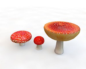mushroom 3D