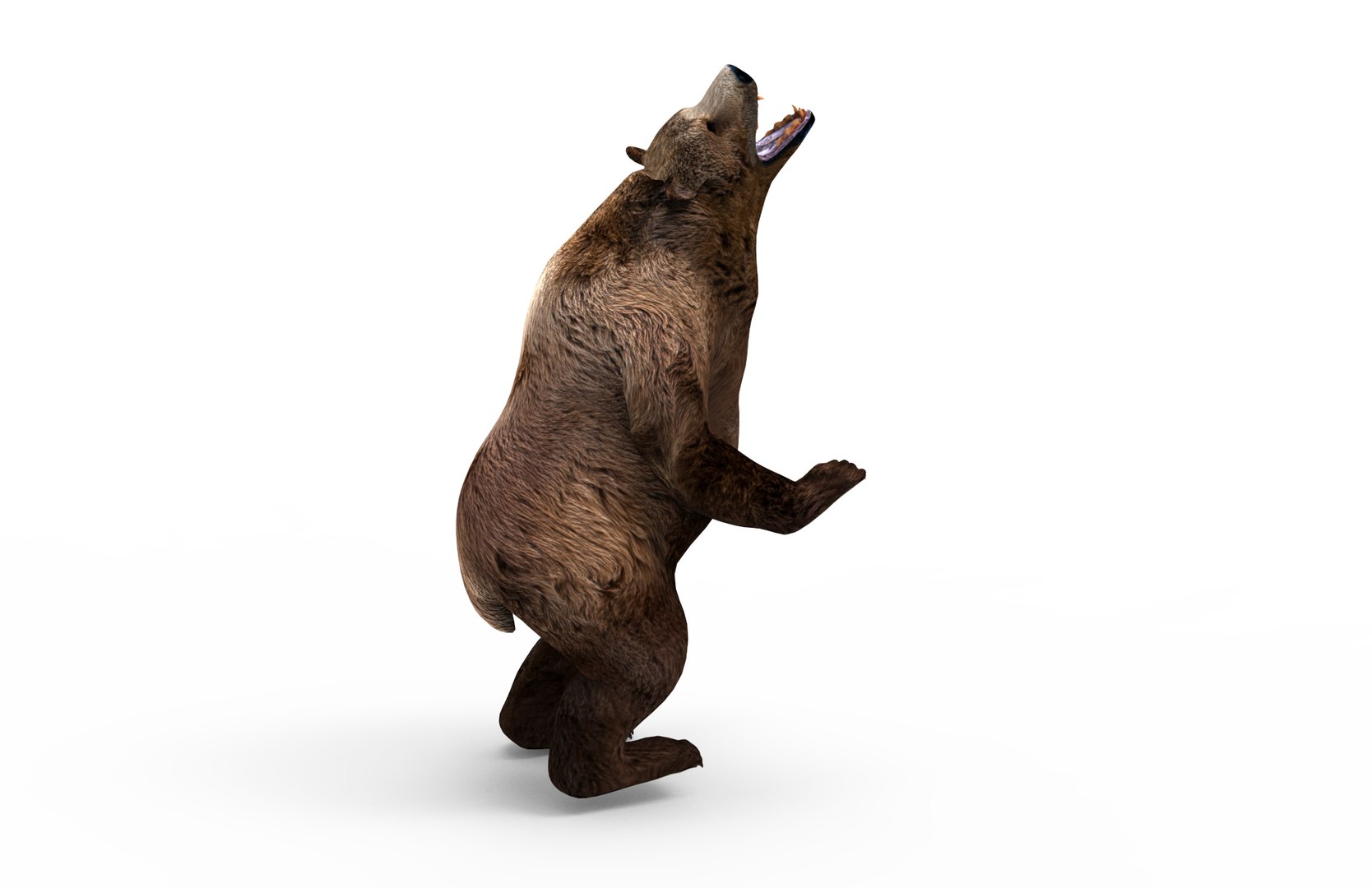 bear rigged 3D model https://p.turbosquid.com/ts-thumb/mF/XdU6Xz/8c8Rh5sR/bearanimated.299/png/1518775445/1920x1080/fit_q87/9f7c65710e6abde7a37b0b421a12e3bcd76216e6/bearanimated.299.jpg
