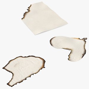 3D model Burnt Pieces of Paper