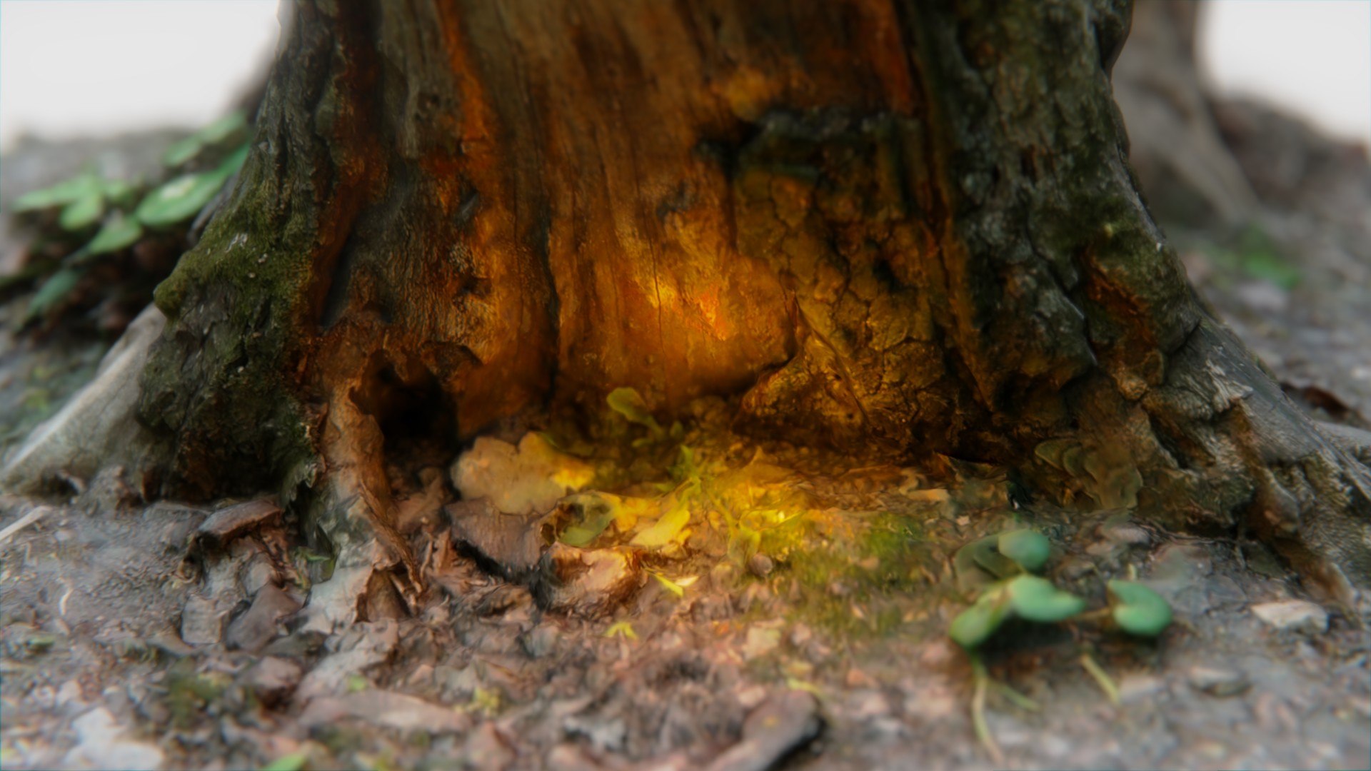 3D old rotten stump https://p.turbosquid.com/ts-thumb/mG/9Tr22a/01kbwzM5/pr11/jpg/1572784764/1920x1080/fit_q87/123072a8cbfd4610d5ea056cb9d65da6188e034f/pr11.jpg