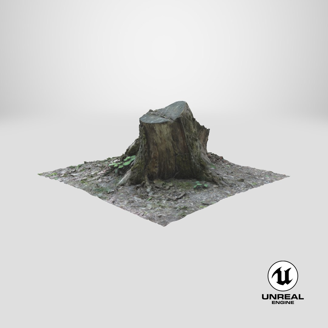 3D old rotten stump https://p.turbosquid.com/ts-thumb/mG/9Tr22a/0O/stemcell_unreal_render/png/1708117981/1920x1080/fit_q87/0137ac82b63e1dff55b9d44563fbfe0e950f9889/stemcell_unreal_render.jpg