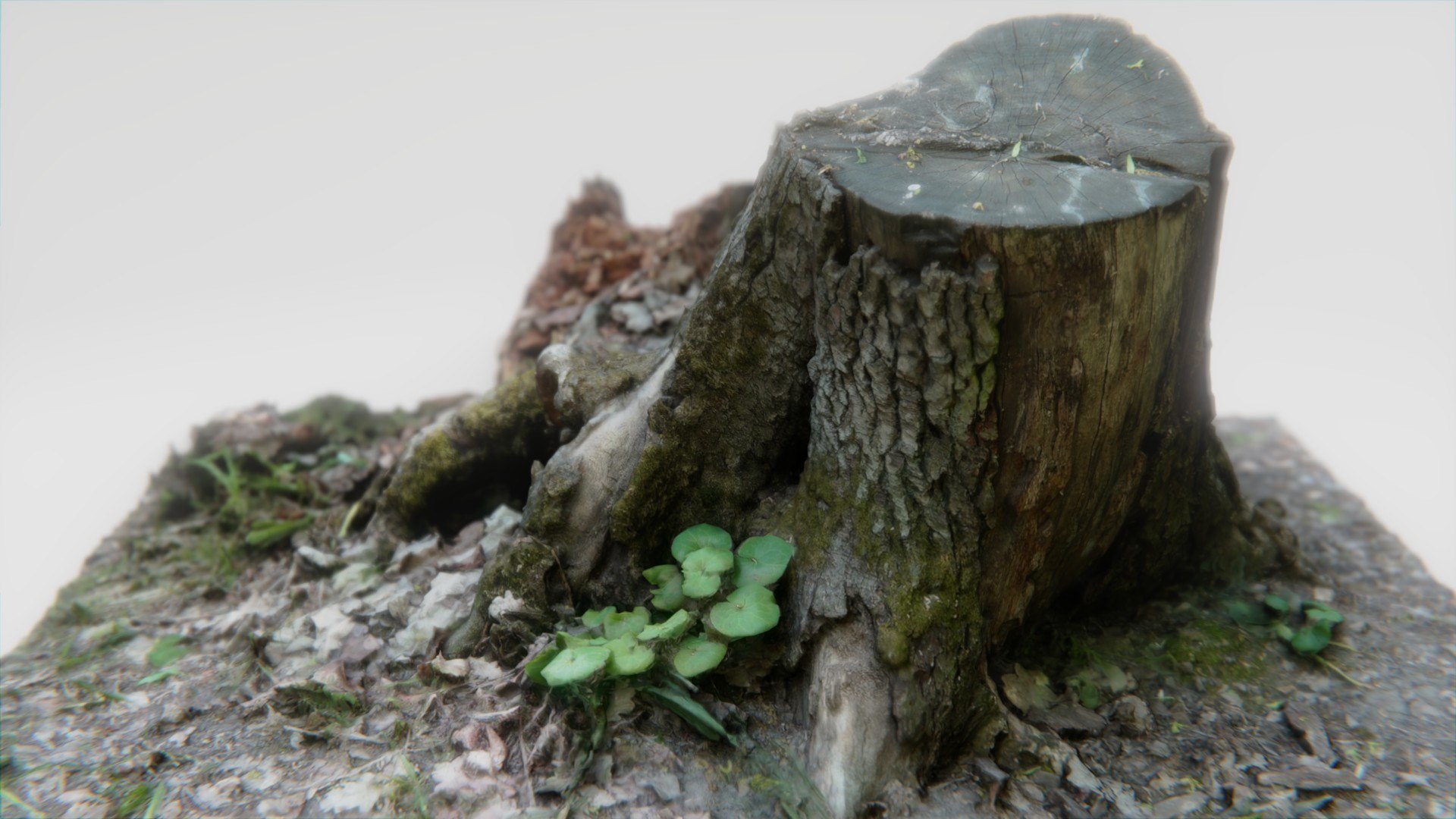 3D old rotten stump https://p.turbosquid.com/ts-thumb/mG/9Tr22a/An0HtX4d/pr8/jpg/1572784763/1920x1080/fit_q87/43d52ba944d029faf3fb95704cbae1062e6bf2ab/pr8.jpg