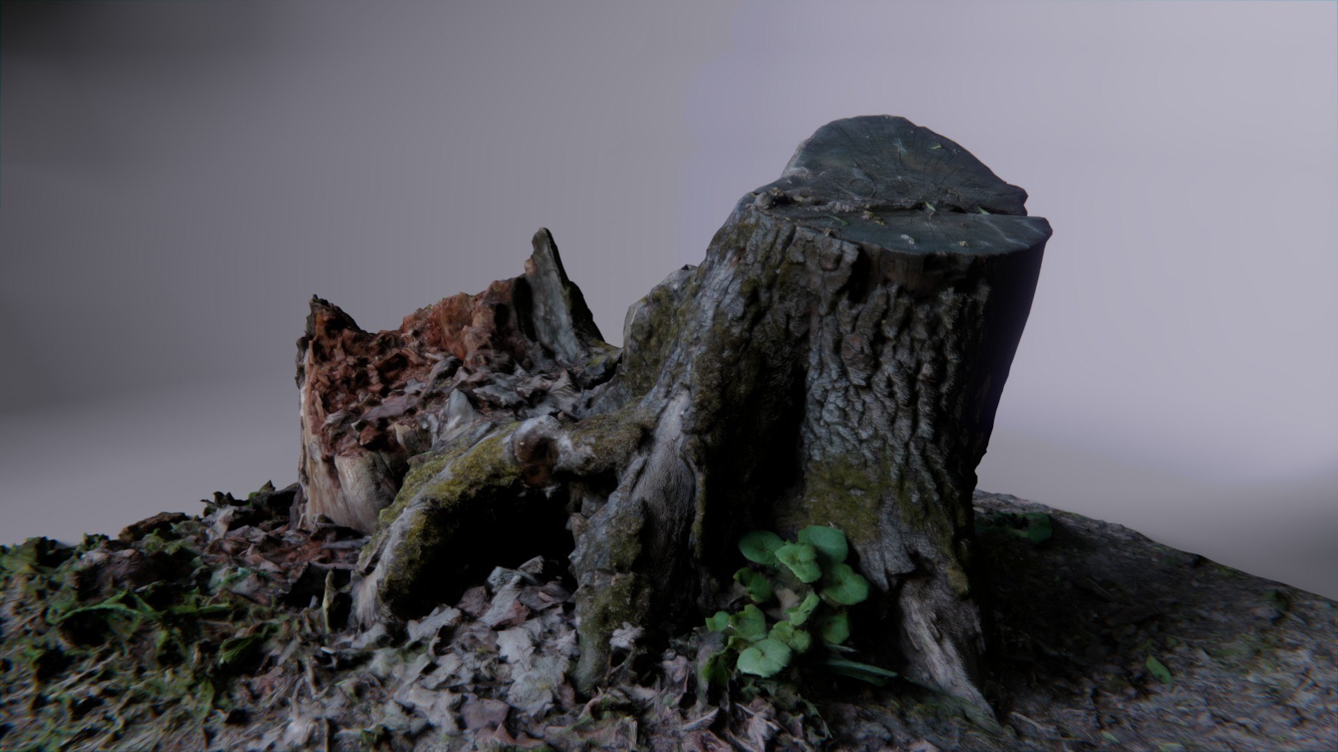 3D old rotten stump https://p.turbosquid.com/ts-thumb/mG/9Tr22a/IoWJ6KQN/pr14/jpg/1572784764/1920x1080/fit_q87/1f3c7886d595162e789ba70f315b7351ec54bf56/pr14.jpg