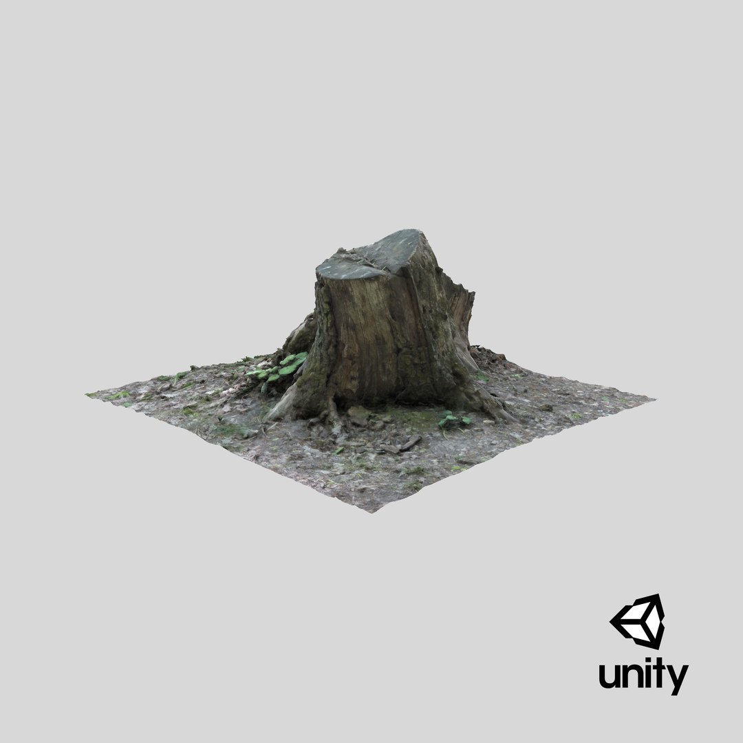 3D old rotten stump https://p.turbosquid.com/ts-thumb/mG/9Tr22a/Sl/stemcell_unity_render/png/1708117983/1920x1080/fit_q87/ee481684ef9dfa4987dbe55fe919bc7a19d62ac1/stemcell_unity_render.jpg