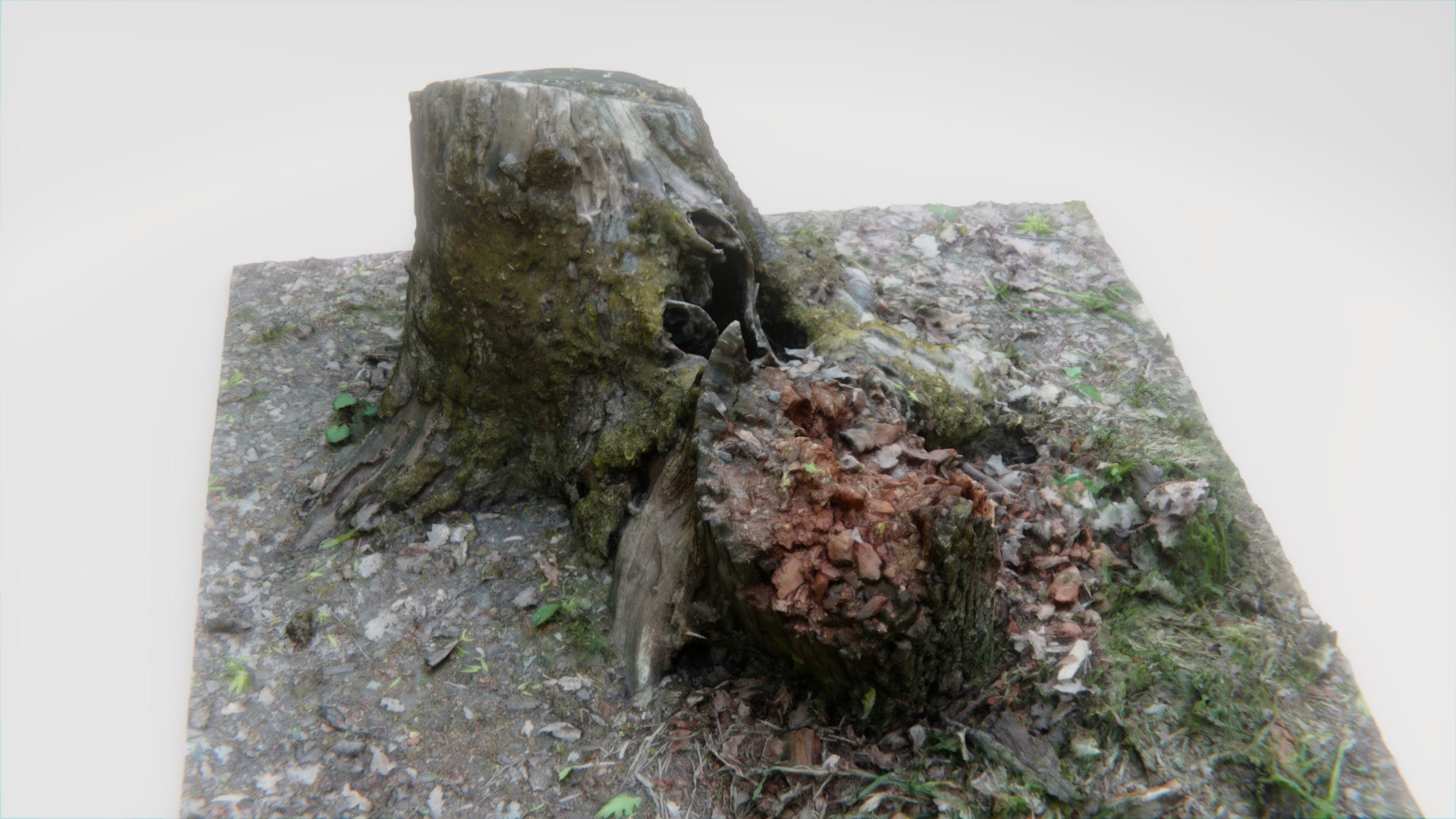 3D old rotten stump https://p.turbosquid.com/ts-thumb/mG/9Tr22a/XXMBQ8nu/pr3/jpg/1572784763/1920x1080/fit_q87/37e0b684bc11244838c5c258d9cb104bd72ced06/pr3.jpg