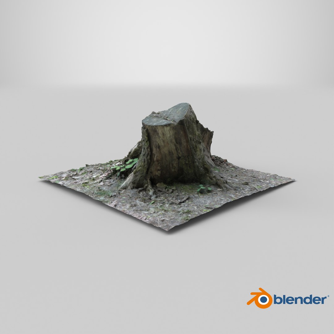 3D old rotten stump https://p.turbosquid.com/ts-thumb/mG/9Tr22a/n0/stemcell_blender_cycles_render/png/1708117968/1920x1080/fit_q87/e2438c0e2f5d8f52015295d4fbf920a8aeed1345/stemcell_blender_cycles_render.jpg