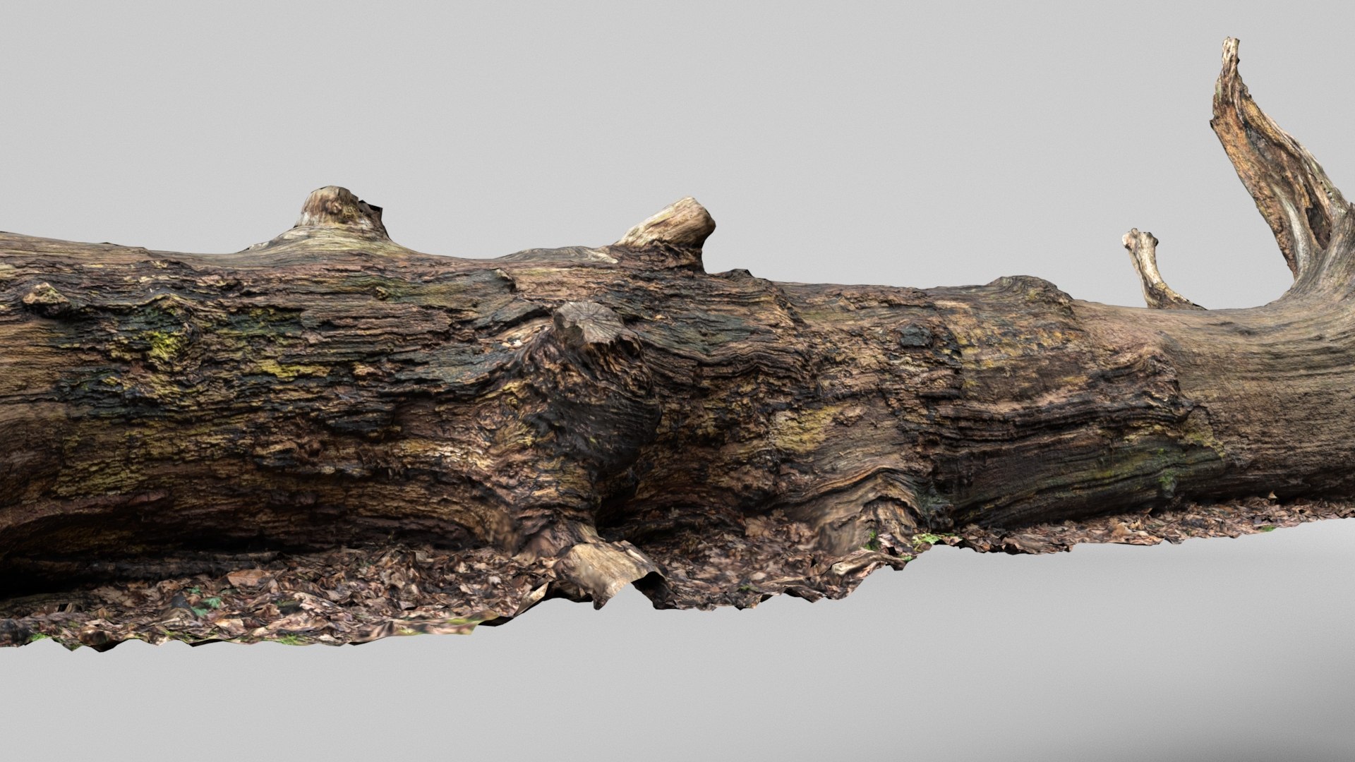 8K Fallen Tree 3D model https://p.turbosquid.com/ts-thumb/mG/Bi9Izr/0C/render5/jpg/1772744485/1920x1080/fit_q87/c1de3b5f2e1d2180365d2121e7b55aaa45e99080/render5.jpg
