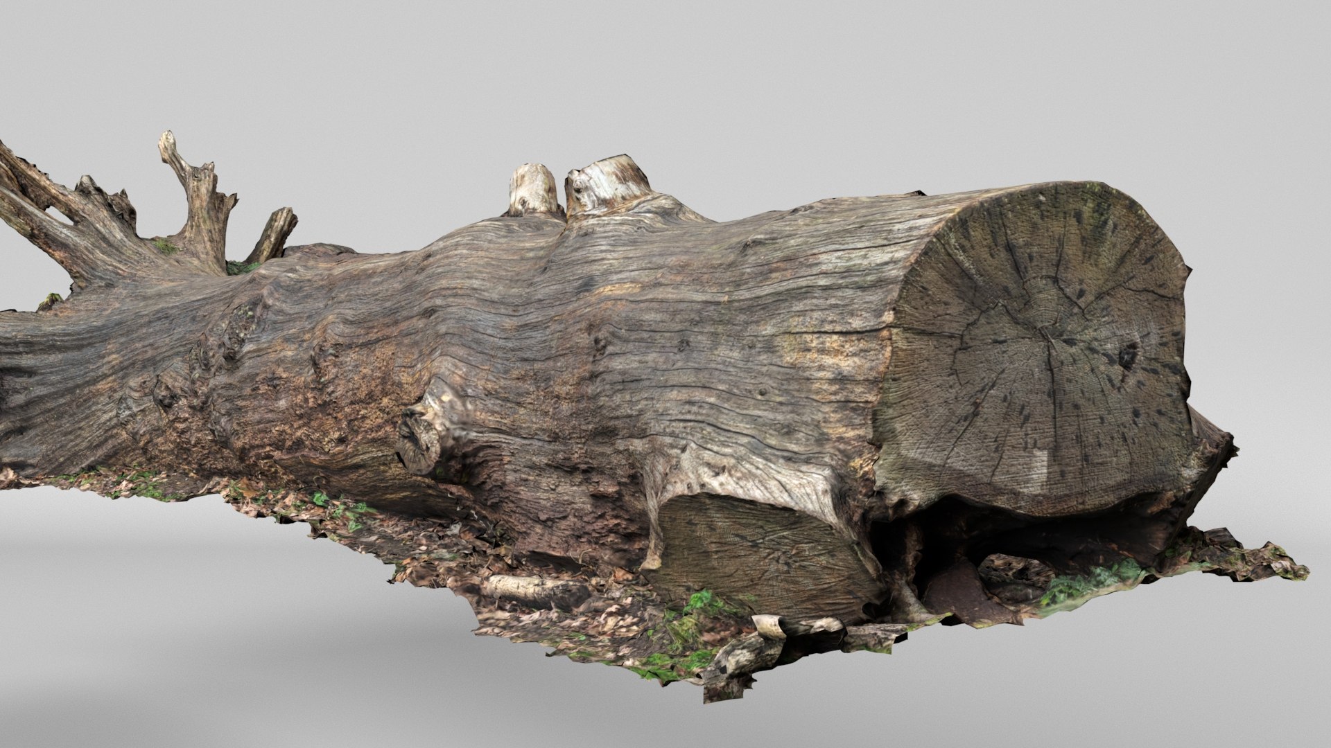 8K Fallen Tree 3D model https://p.turbosquid.com/ts-thumb/mG/Bi9Izr/1V/render4/jpg/1772744485/1920x1080/fit_q87/e13a367d5ae080d3673294c6bd45986aeaf352d1/render4.jpg