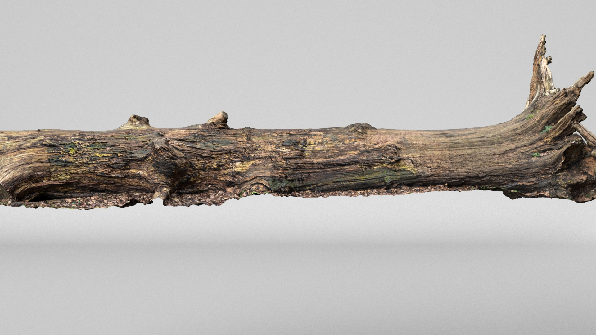 8K Fallen Tree 3D model https://p.turbosquid.com/ts-thumb/mG/Bi9Izr/DU/turntable/jpg/1772744470/1920x1080/turn_fit_q99/c5346efecb969caa97b3691bd752f6a55eef6455/turntable-1.jpg