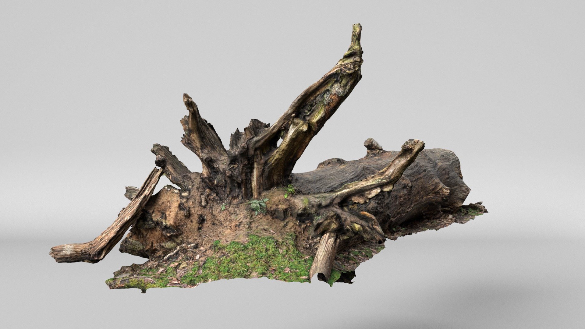 8K Fallen Tree 3D model https://p.turbosquid.com/ts-thumb/mG/Bi9Izr/i9/render3/jpg/1772744485/1920x1080/fit_q87/b2b8e1bcb0a6f2bed243e812f2fa497c69ab3556/render3.jpg