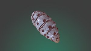 unity animator model