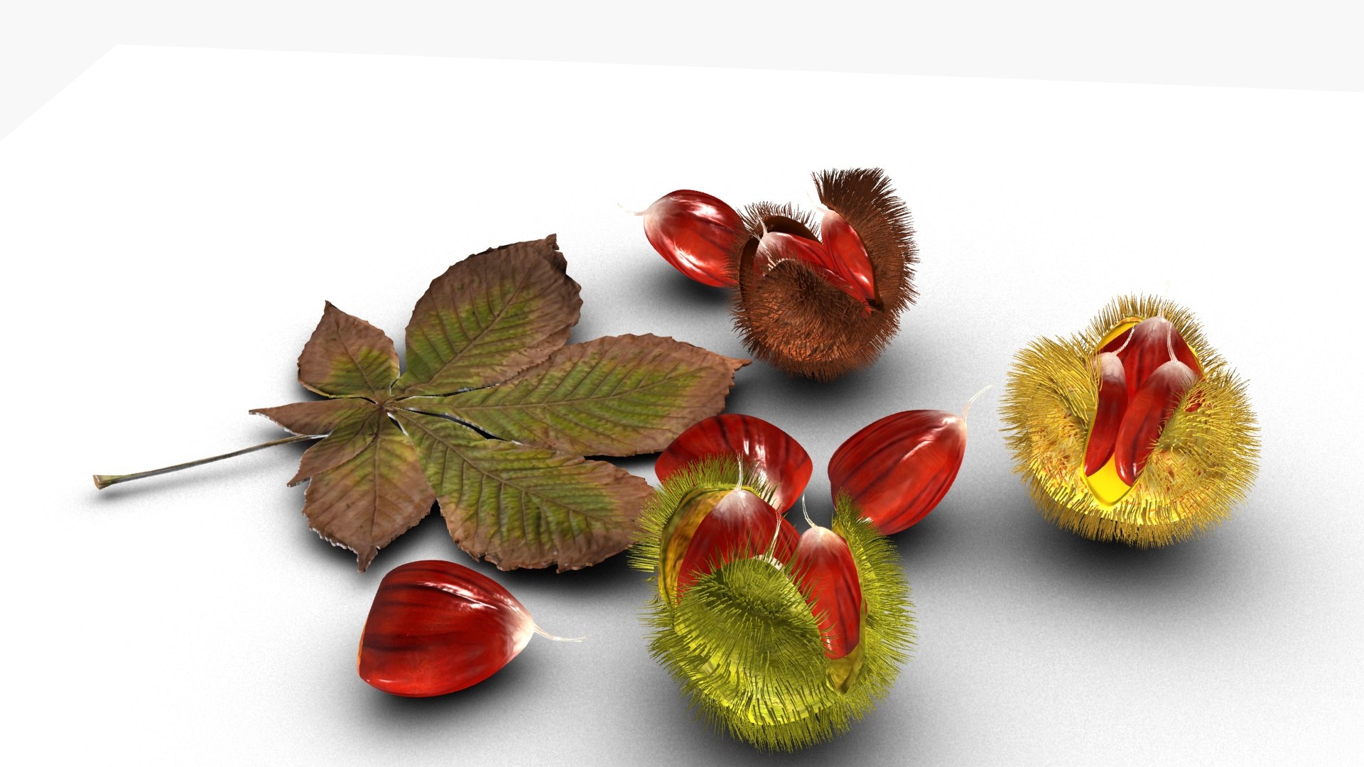 3D Chestnut https://p.turbosquid.com/ts-thumb/mG/NBgldq/D0/ps3/jpg/1792418646/1920x1080/fit_q87/39296d957407920d5a2624026dd4b90503c2de87/ps3.jpg