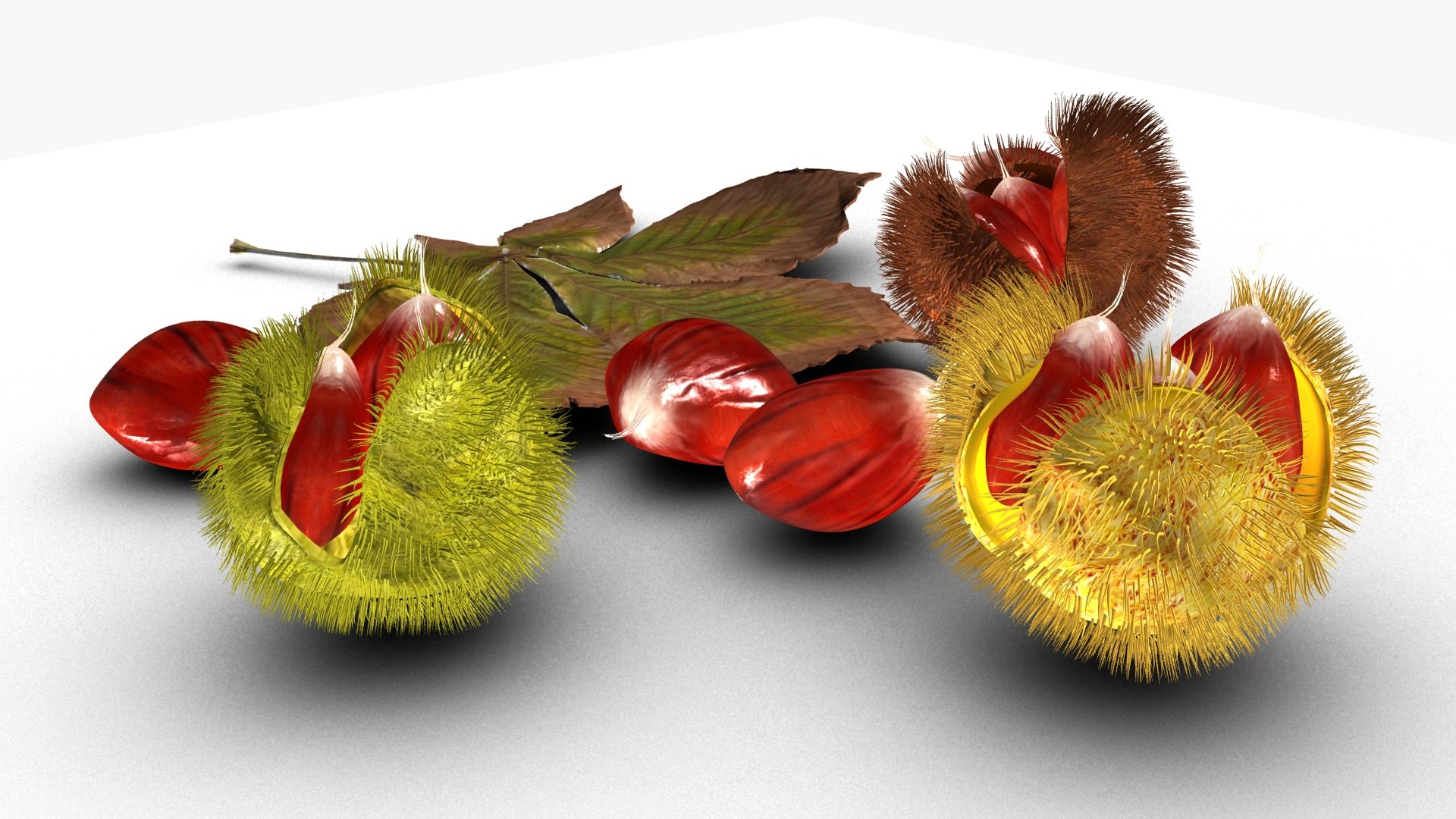 3D Chestnut https://p.turbosquid.com/ts-thumb/mG/NBgldq/Nv/ps4/jpg/1792418652/1920x1080/fit_q87/8661b4cad0825453c8b5688cd165ca5066df38c1/ps4.jpg