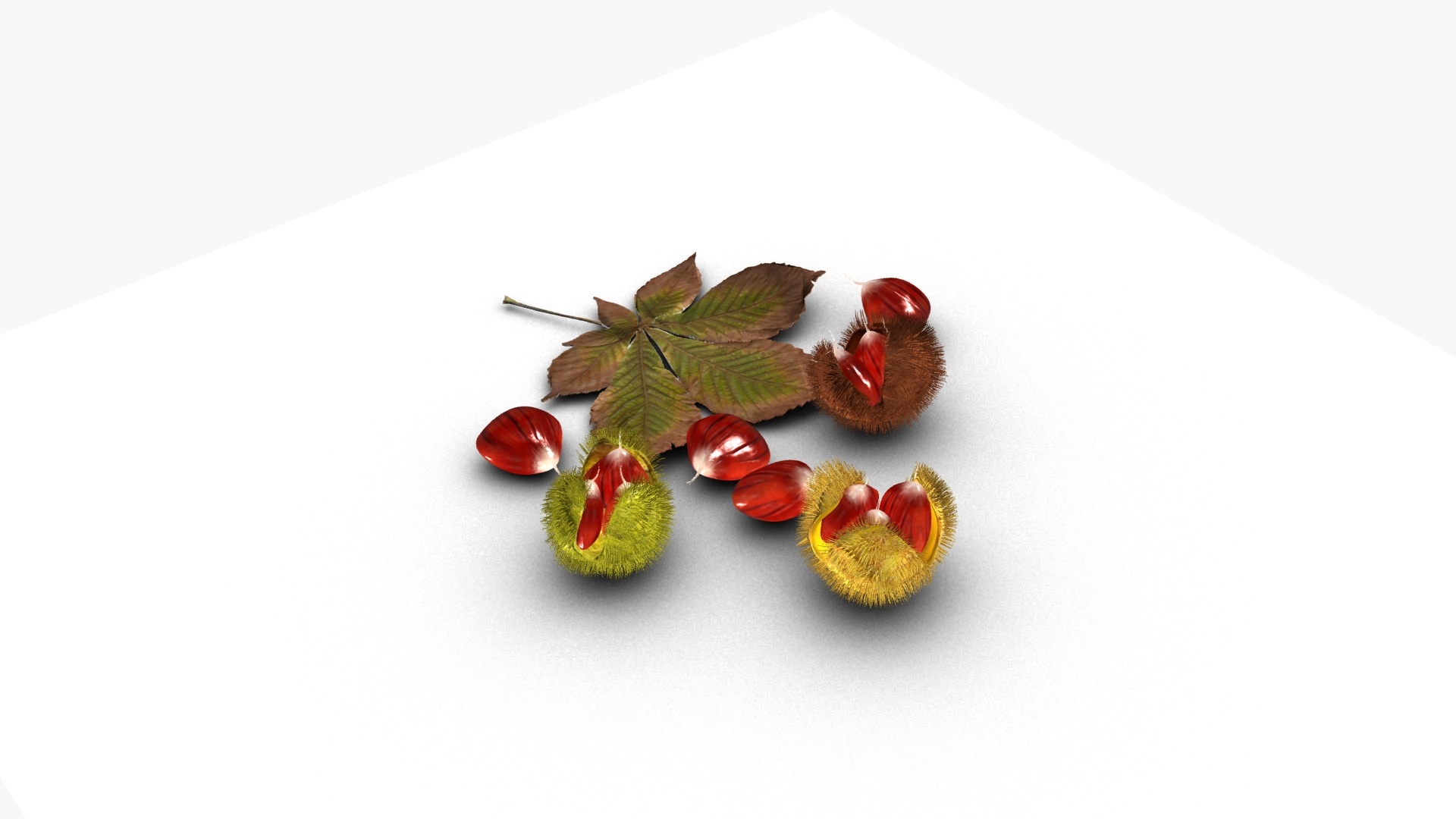 3D Chestnut https://p.turbosquid.com/ts-thumb/mG/NBgldq/Pu/chestnut/jpg/1792418692/1920x1080/turn_fit_q99/2510c82bbe616509da3df7394250544f4b18f977/chestnut-1.jpg