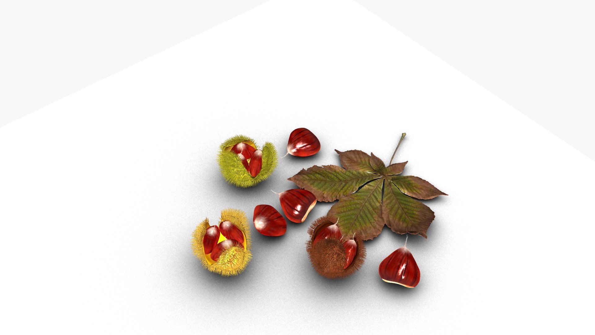 3D Chestnut https://p.turbosquid.com/ts-thumb/mG/NBgldq/TY/ps5/jpg/1792418663/1920x1080/fit_q87/ed6f21e87bcf98c6a8abca7d2ecfc6c58b471a9e/ps5.jpg