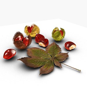 Chestnut