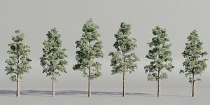 3D Pine trees collection vol 245-Blender-3dmodel