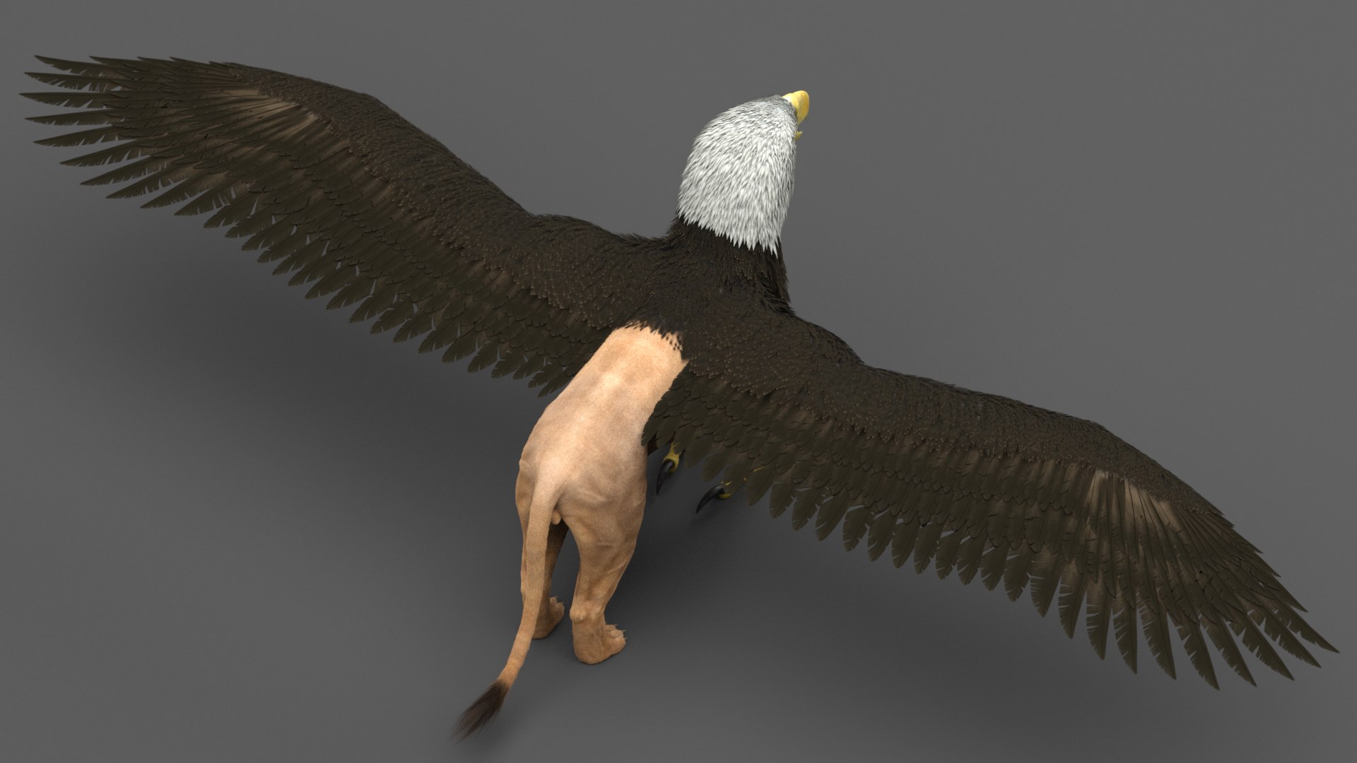 gryphon 3D model https://p.turbosquid.com/ts-thumb/mG/YLf6tE/0XquXZIi/9/png/1574196753/1920x1080/fit_q87/a98047d6e7793c05583d56d1b9bba108bf3b2da0/9.jpg