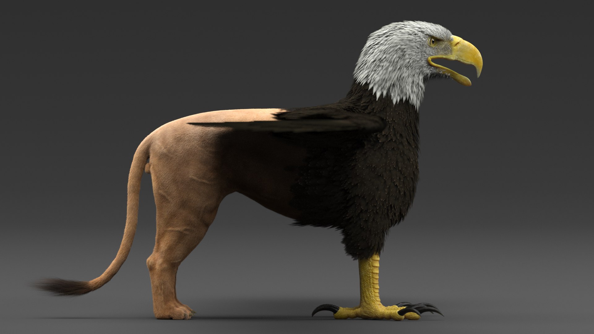 gryphon 3D model https://p.turbosquid.com/ts-thumb/mG/YLf6tE/V6TwYfx9/8/png/1574196753/1920x1080/fit_q87/1e38fd19730ffd431b0fb426edf9ee78e0a06ae5/8.jpg