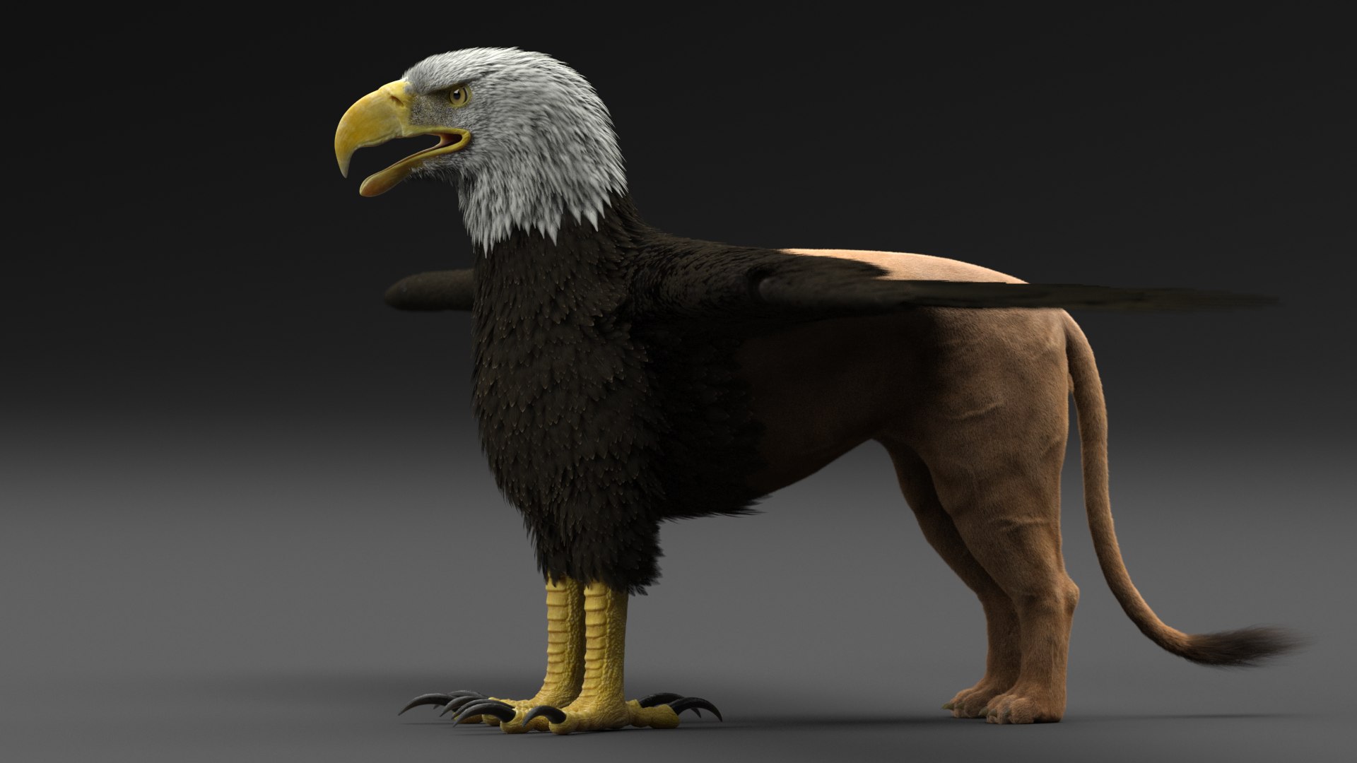 gryphon 3D model https://p.turbosquid.com/ts-thumb/mG/YLf6tE/fOBvd9aw/7/png/1574196753/1920x1080/fit_q87/5883a86c7852cc7d3f988cf109bc3f8f59e4cd43/7.jpg